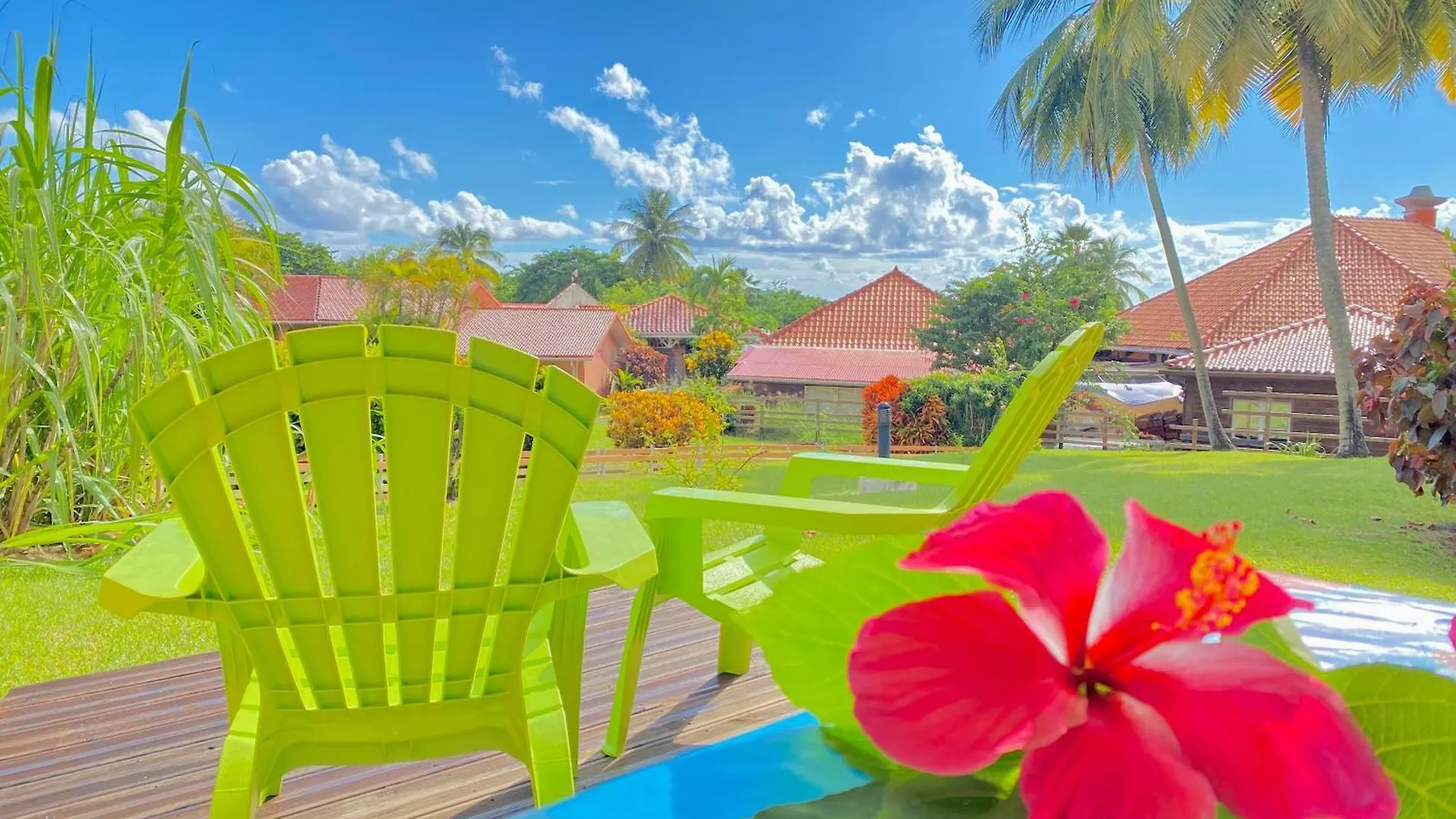 Studio Petite Plage - Pieds Dans L'Eau 0*, Sainte-Anne Martinique